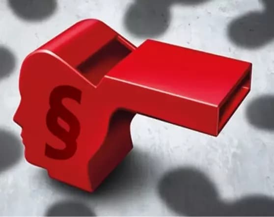 Hinweisgebersysteme erfolgreich managen