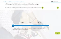 Die Teilnehmenden werden anfangs für die Gefährdungen bei fehlerhaftem Arbeiten an elektrischen Anlagen sensibilisiert, hier für die Gefährdungen bei Niederspannung.