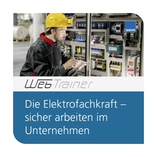 Die Elektrofachkraft – sicher arbeiten im Unternehmen