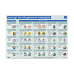 Poster – Von Kopf bis Fuß: gesund am Arbeitsplatz