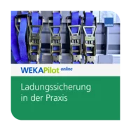 Ladungssicherung in der Praxis