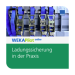 Ladungssicherung in der Praxis