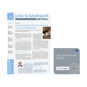 Lohn- & Gehaltsprofi – für eine fehlerfreie und prüfungssichere Entgeltabrechnung