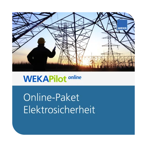 Online-Paket Elektrosicherheit