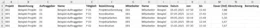 Einfach den Stundenzettel in Excel exportieren.