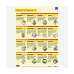 Poster „Gesund im Sommer und Winter“