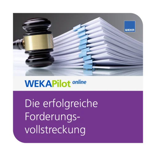 Die erfolgreiche kommunale Forderungsvollstreckung